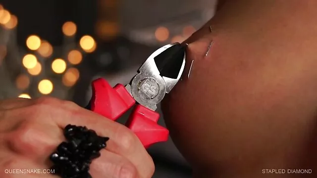 نكتة في الحمام اغاني اجنبية اباحية أو لعبة في الحمار